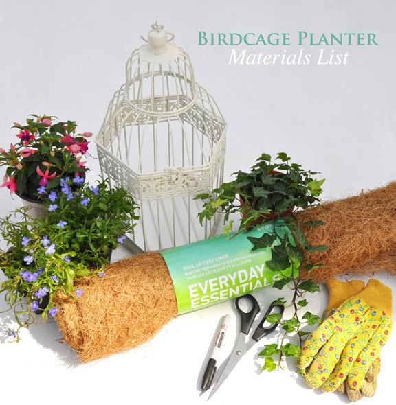 an ivy filled birdcage for part shade, container gardening, crafts