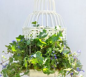 an ivy filled birdcage for part shade, container gardening, crafts