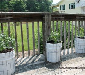 s the easiest ways to grow a bumper crop of tomatoes, gardening, Expand your garden by growing in buckets
