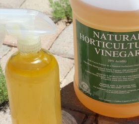 9 herbicidas naturales que salvarn tu jardn en verano, Pulveriza las malas hierbas con una sencilla mezcla de vinagre