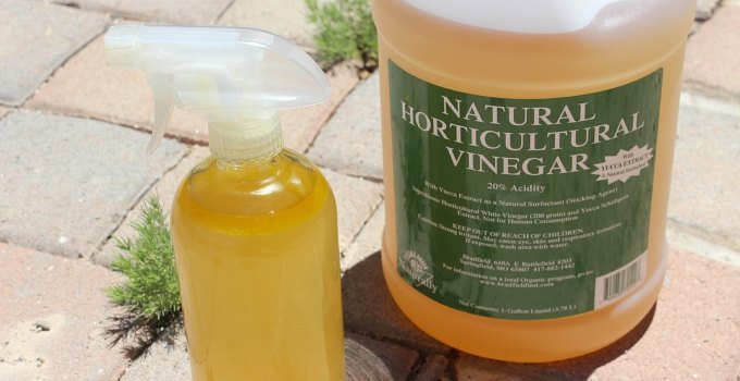 9 herbicidas naturais que salvaro seu jardim no vero, Pulverize ervas daninhas com uma mistura simples de vinagre