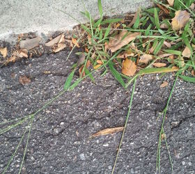 9 Natural Weed Killers That Will Save Your Summer Garden Hometalk