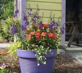 container gardening basics thrillers fillers and spillers, container gardening, gardening