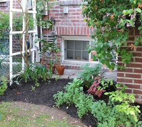 turn a meh corner garden corner into a wow in 6 easy steps, gardening, landscape, What a difference the mulch does