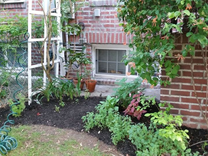 turn a meh corner garden corner into a wow in 6 easy steps, gardening, landscape, What a difference the mulch does