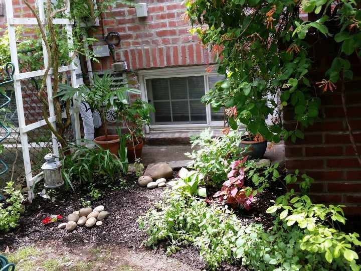 transforme um canto do jardim em uma maravilha em 6 passos simples