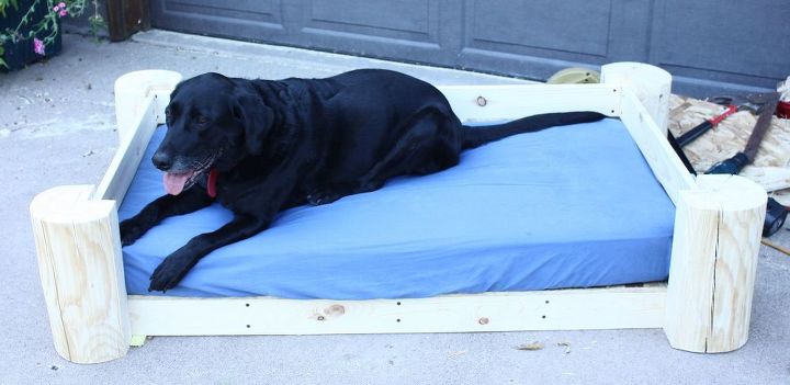 tronco rstico cama para perros
