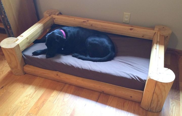 tronco rstico cama para perros