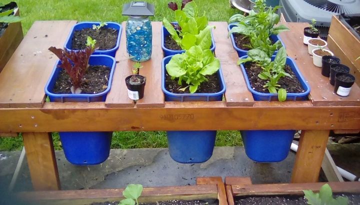 diy pallet garden salad bar, container gardening, gardening, outdoor living, pallet, repurpose household items, repurposing upcycling