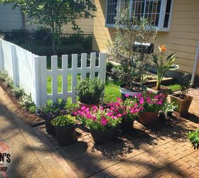 small front yard and big ideas