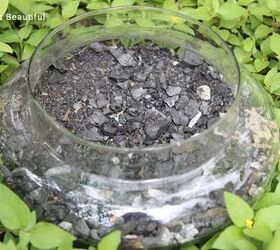 how to make a succulent terrarium garden, container gardening, flowers, gardening, how to, succulents, terrarium, Add a layer of charcoal