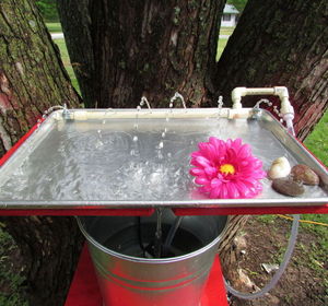 s 10 amazing ways to attract hummingbirds to your garden, gardening, pets animals