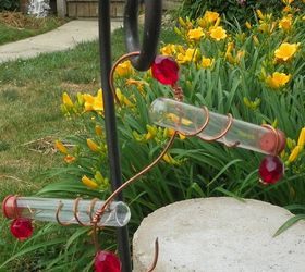 s 10 amazing ways to attract hummingbirds to your garden, gardening, pets animals, Hang test tubes upside down in the garden