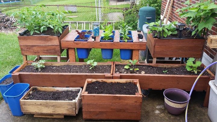 diy pallet garden salad bar, container gardening, gardening, outdoor living, pallet, repurpose household items, repurposing upcycling, My whole garden made from recycled materials