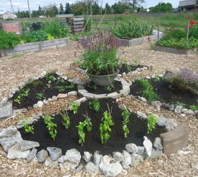 the herb garden wheel is planted , gardening, how to, outdoor living