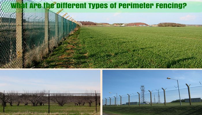 what are the different types of perimeter fencing , fences