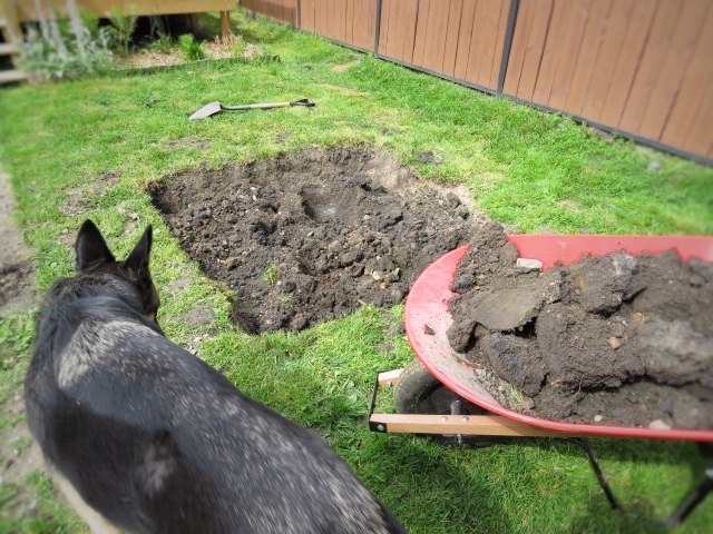 save your yard foundation with a dry well, diy, home improvement, landscape, outdoor living
