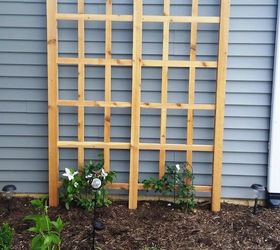 The DIY Trellis of All Time