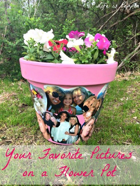 your favorite pictures on a flower pot craft idea and diy read mor, crafts, diy, gardening