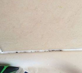 Mold in silicone grout: How to clean?