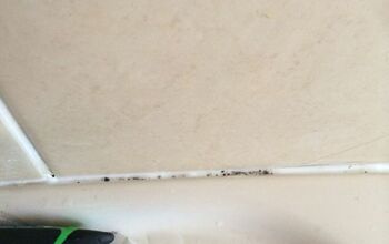 Mold in silicone grout: How to clean?