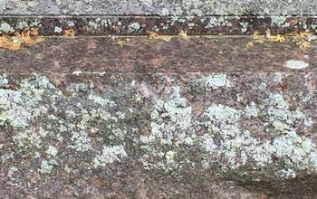 Removing lichen from granite?