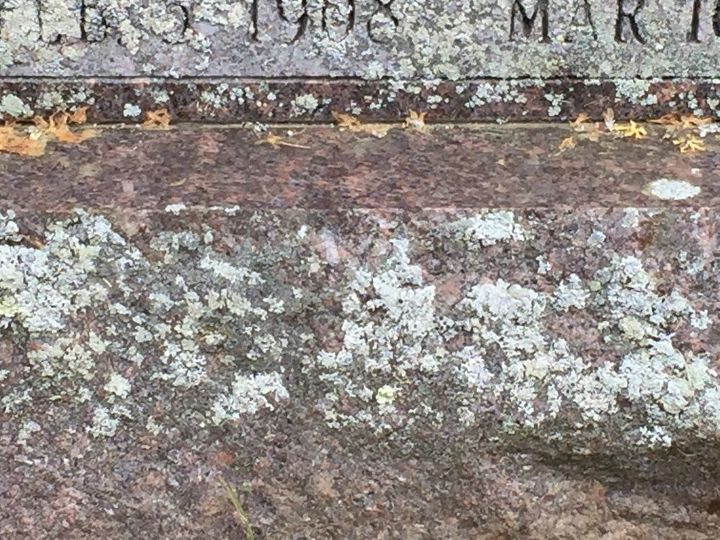 removing lichen from granite