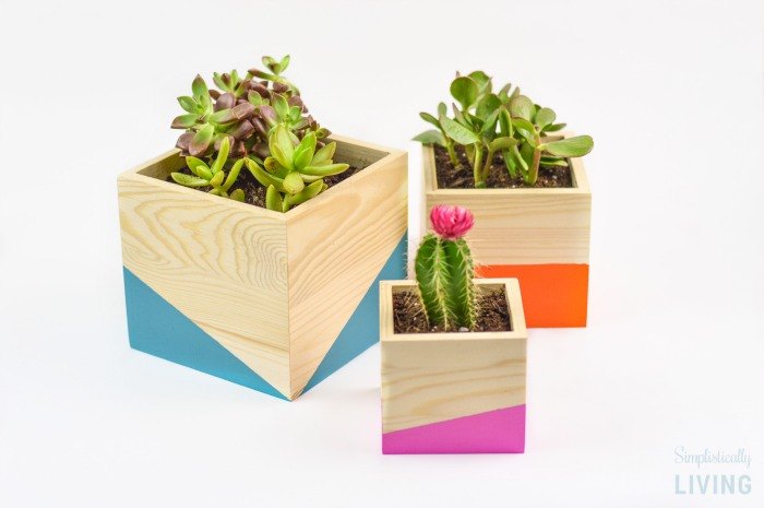 color block wood planter, container gardening, crafts, gardening, how to