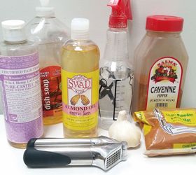 3 household items to keep your garden pests at bay, diy, gardening, homesteading, pest control, Are you ready to take care of the buggers
