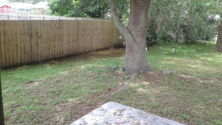 how to deal with standing water, A small pond that will eventually dry up if it stops raining but not before