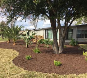 modular home side yard transformation, curb appeal, home decor, landscape, From the corner of front and side yards