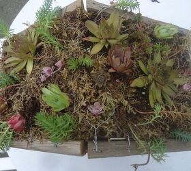 building a green roof bird house, container gardening, gardening, how to