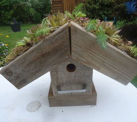 building a green roof bird house, container gardening, gardening, how to