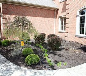 landscaping before and after, flowers, gardening, landscape, outdoor living