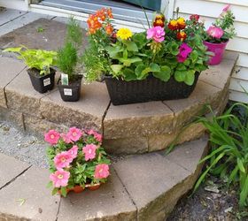create a pretty outdoor space, gardening, outdoor living