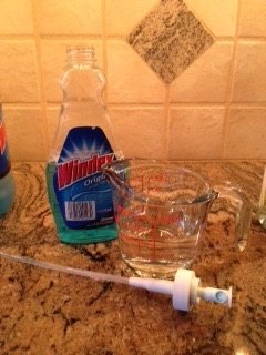 Kill Ants Instantly Natural Diy Spray Hometalk