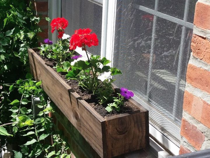 a dyi window box with a patriotic feel, container gardening, gardening, patriotic decor ideas, Absolutely LOVE my new window box