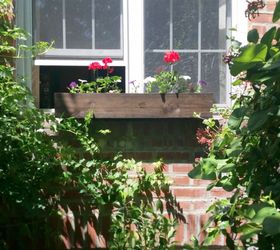 a dyi window box with a patriotic feel, container gardening, gardening, patriotic decor ideas, It s done Love color punch it brings in