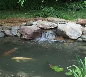 Pond Renovation | Hometalk