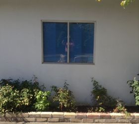 q backyard window beyond boring, home improvement, small home improvement projects, window treatments