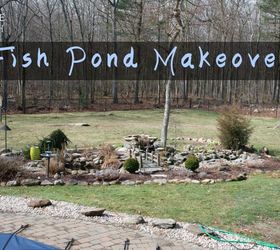 fish pond makeover, how to, outdoor living, ponds water features