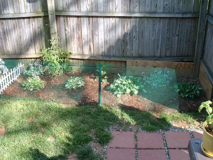 cubierta de la valla del patio, El primer a o trat de plantar algunas flores