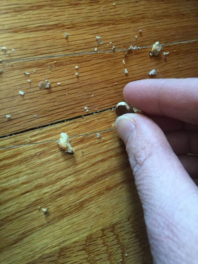 los 10 mejores trucos de reparacin rpida del hogar que todo propietario debe conocer, Oculte los ara azos en los suelos de madera con una nuez