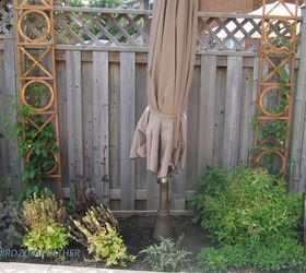 17 ways to build a gorgeous garden trellis this year