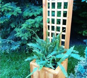 17 ways to build a gorgeous garden trellis, Build a trellis planter for any corner