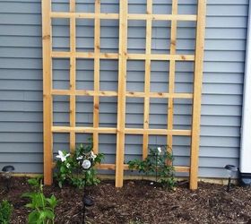 17 ways to build a gorgeous garden trellis, Put up a standing wood grid for tall climbers