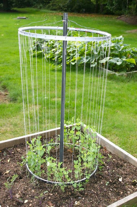 17 ways to build a gorgeous garden trellis, Turn bicycle wheels into round climbing space