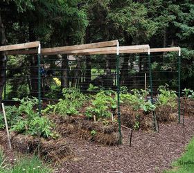 17 ways to build a gorgeous garden trellis, Wrap wire lines around a few poles