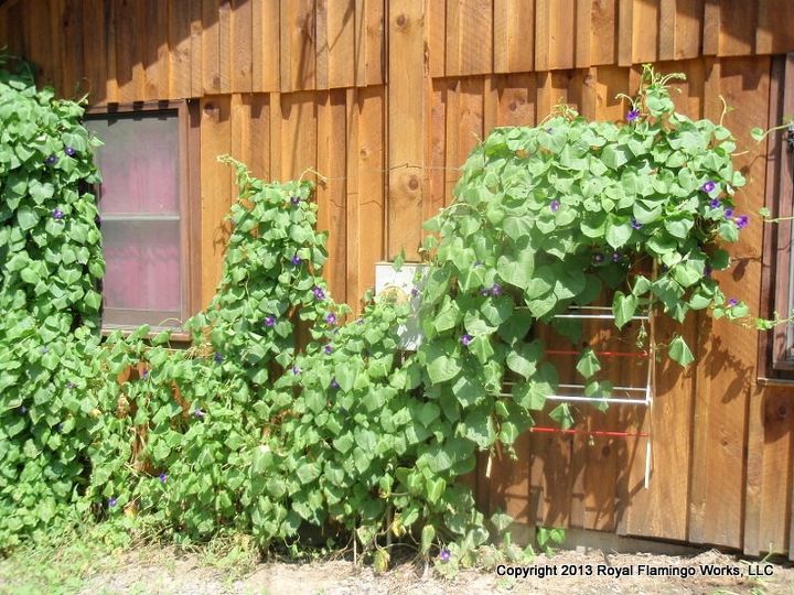 17 ways to build a gorgeous garden trellis, Hang an old drying rack near your vines