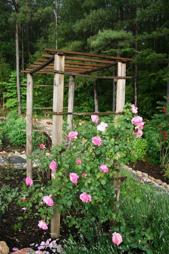 17 Ways to Build a Gorgeous Garden Trellis This Summer  17 Ways to Build a Gorgeous Garden Trellis This Summer